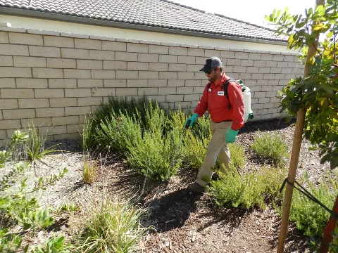 Bull's Eye Pest Control in Vista
