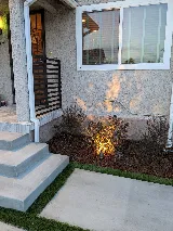 RainforestLA, Inc. photo 5