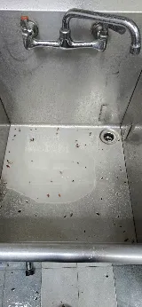 Champion Pest Control photo 3