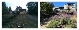 Jean Fogg Landscape Services photo 5