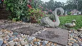 Amazing Lawn & Landscape photo 7