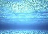 Majestic Pools photo 2