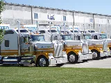 Lint Van Lines photo 2