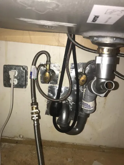 Master Mice Proofing in Boston