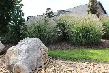 Big Sky Landscapes photo 6
