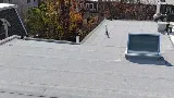 Loonstyn Roofing