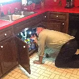 Lane Pest Control photo 7