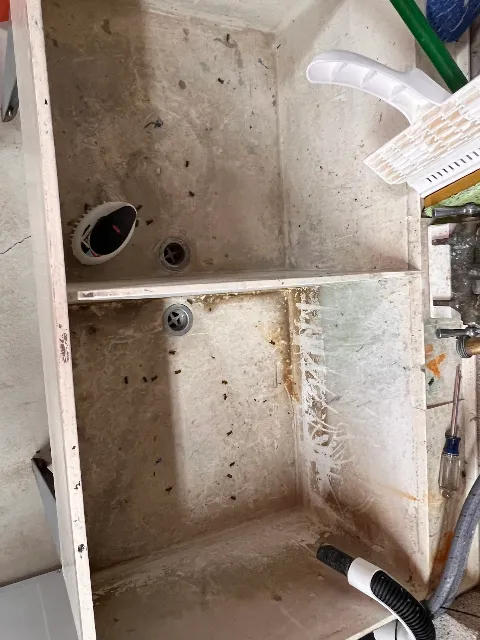 Premier Pest Solutions photo 1