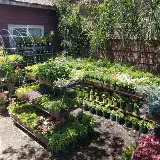 Bearscapes Nursery & Landscape photo 7