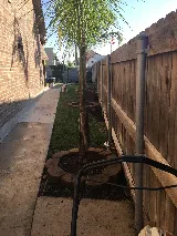 Roman landscaping photo 5