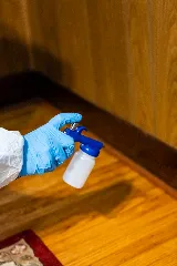 DND Pest Control photo 6