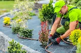 Berkeley Landscape Design
