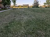 A Cut Above Landscape photo 5