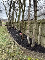 Scenic Green Landscaping Indianapolis photo 5