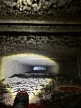 DeepClean NL Ltd. photo 4
