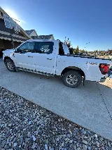 Halt Pest Control Ltd photo 7