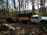 Galloway's Lawn Service photo 6