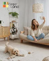 Carpetland photo 6