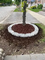S.N.G Landscaping photo 7