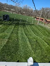 Smeags Lawncare and Landscaping photo 5