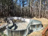 Pleasure Pools Inc. photo 7
