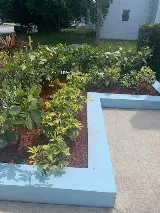 Elegance Landscaping photo 5