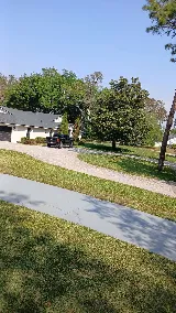 Jose & Jose Landscaping LLC photo 3