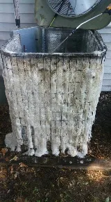 Comfortable LLC photo 7