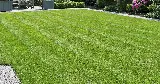 Diamond Lawn Care & Snow Service photo 5
