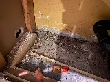 Provincial Pest Control Toronto photo 6
