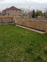 AUR Landscaping & Renovation photo 4