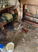 RainCity Pest Control photo 5