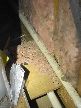 901 Pest Control photo 3