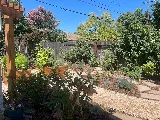 Bush Landscaping