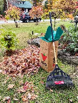 The Green Gardener photo 3
