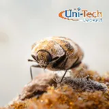 Uni-Tech Pest Control photo 7