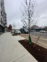 E Landscaping LLC photo 5