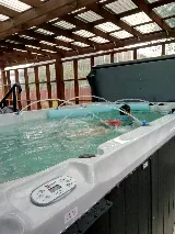 Northwest Swim Spas photo 5