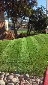 Landtamers Landscaping photo 7