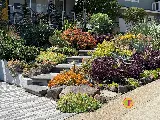 Farallon Gardens