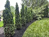 Lemus Landscaping LLC photo 5
