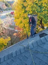 Kia pestcontrol&wildlife removal photo 2