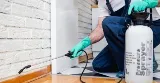 Vancouver Pest Control Ltd photo 9