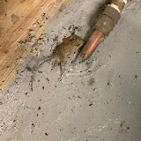 Boston Best Pest Control photo 7