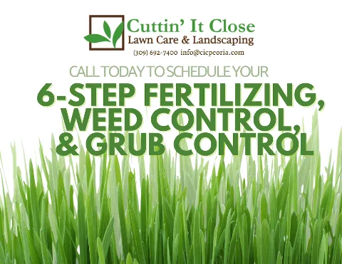Cuttin' It Close Lawn Care Inc. photo 1