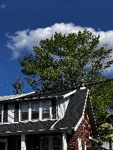 Pace Roofing LLC