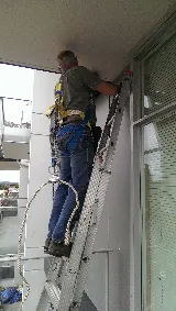 Garden City Pest Control photo 3