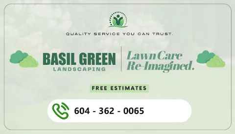 Basil Green Landscaping photo 1