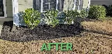 Lawn Reputation LLC photo 4