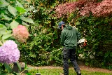 Sharp Edge Landscaping photo 4